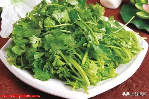 中国“最难吃”的5种蔬菜，吃过一半是牛人，全吃过是大神-8.jpg