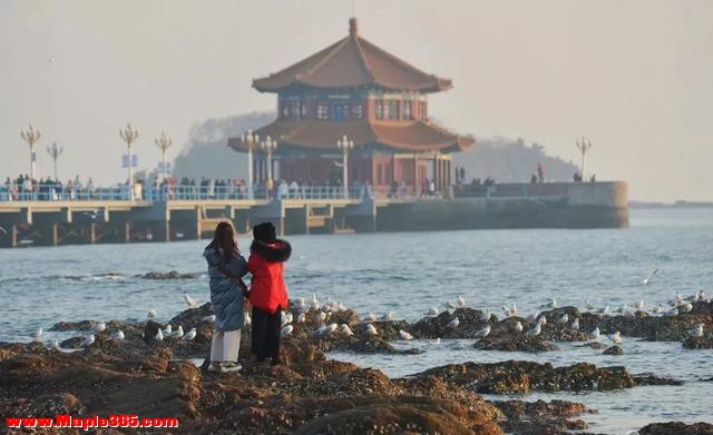 这份“中国最美38个景点”大全收藏起来-41.jpg