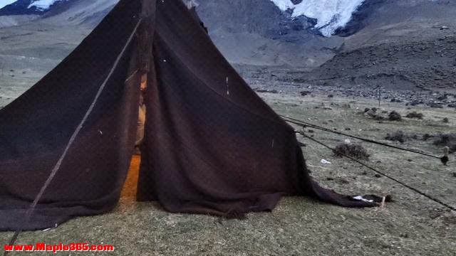 在西藏遇到白色帐篷，为啥要躲着？进去了会怎么样？-3.jpg