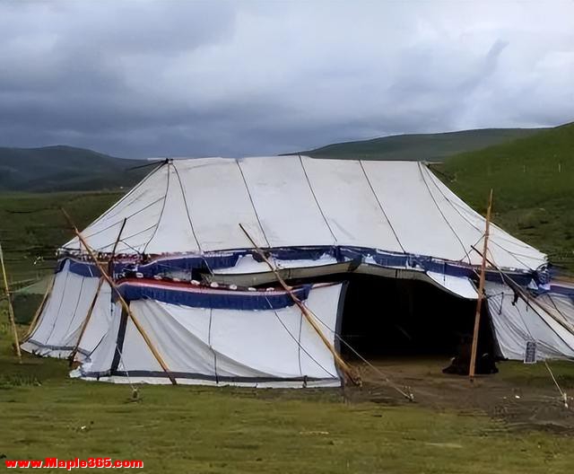 在西藏遇到白色帐篷，为啥要躲着？进去了会怎么样？-4.jpg