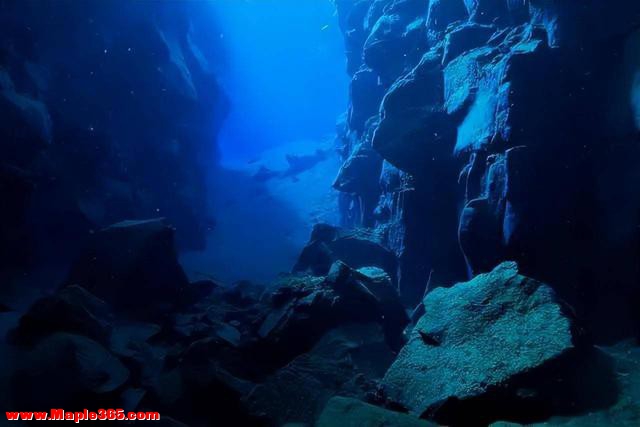 11000多米深的马里亚纳海沟深处，科学家最担心的东西，出现了-6.jpg
