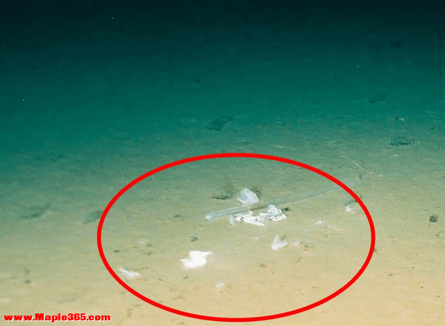 11000多米深的马里亚纳海沟深处，科学家最担心的东西，出现了-10.jpg