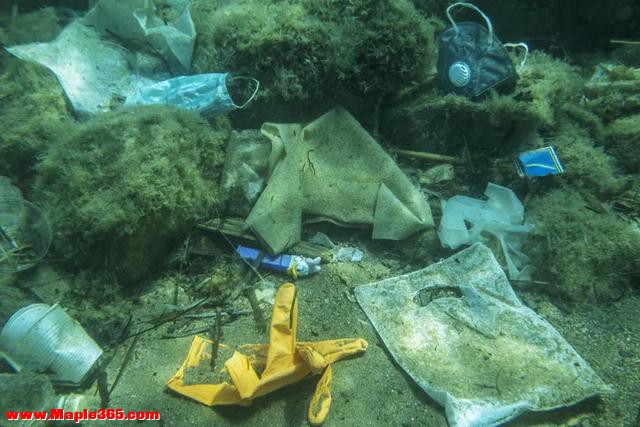 11000多米深的马里亚纳海沟深处，科学家最担心的东西，出现了-11.jpg