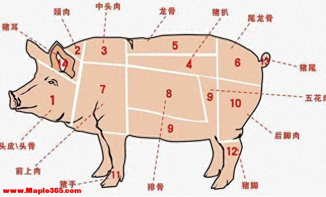 猪身上的7个部位，医生建议少吃，大肠排最后，榜首的很多人爱吃-1.jpg