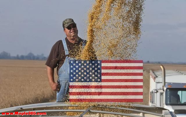 美国“慌得一匹”，中国大豆进口量大跳水，科学家：才发现？-7.jpg