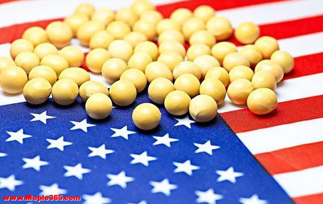 美国“慌得一匹”，中国大豆进口量大跳水，科学家：才发现？-8.jpg