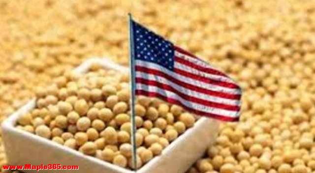美国“慌得一匹”，中国大豆进口量大跳水，科学家：才发现？-1.jpg
