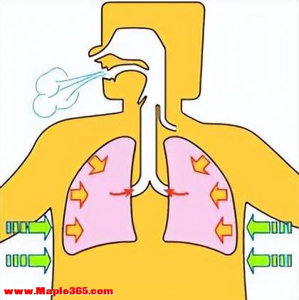 腹式呼吸法：生命深层能量来源（强烈收藏）-1.jpg