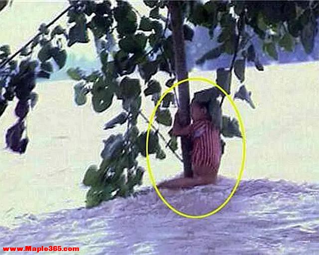 98年特大洪水，6岁女孩紧抱大树9小时，如今她的工作令人自豪-2.jpg