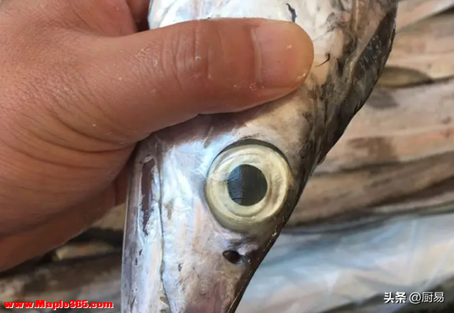 买带鱼，记得分清“黑眼睛”和“黄眼睛”，区别不小，搞懂再花钱-2.jpg