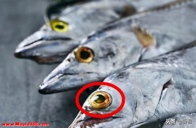 买带鱼，记得分清“黑眼睛”和“黄眼睛”，区别不小，搞懂再花钱-3.jpg