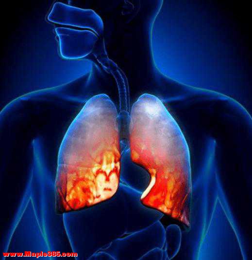 肺不好不能吃茄子？提醒：养肺护肺，5种食物可以多吃一点-1.jpg