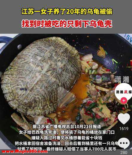 苏州女子养了20年的宠物龟被偷，找到时已被红烧，小偷：煮了解馋-3.jpg