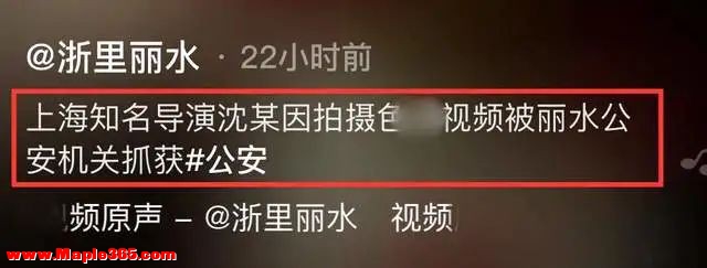上海某位曾出演过《爱情公寓》的导演拍摄不雅视频获利百万被抓，他将承担哪些法律责任？-1.jpg