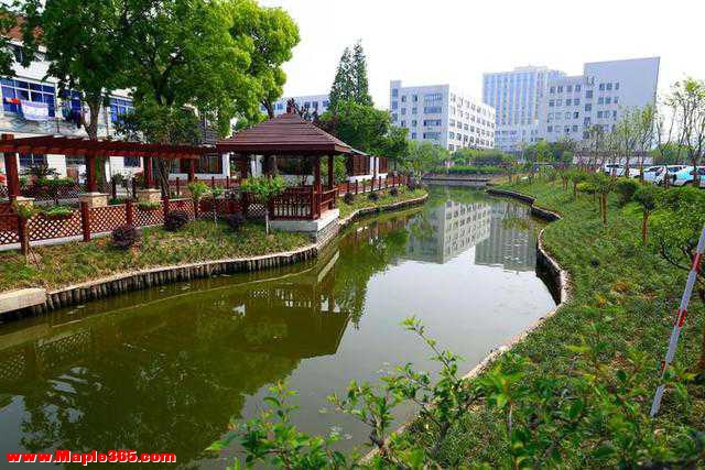 1300岁的“浦东第一镇”，人称“小上海”，却因古迹被拆特色不再-4.jpg