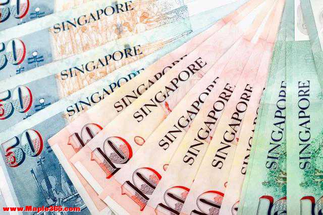 新加坡自雇移民难度有多大？-2.jpg